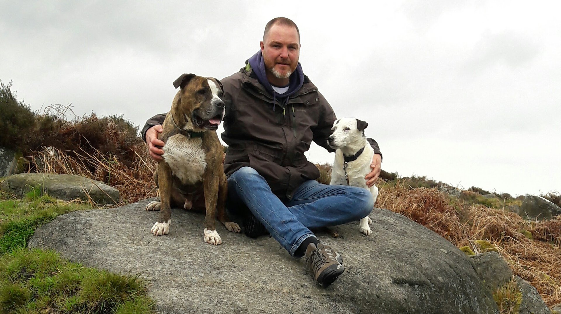 Dog Behaviourist and Psychologist